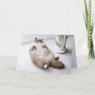 Födelsedags Ragdoll Katt som svalkar sig med en fl Kort
