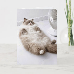 Födelsedags Ragdoll Katt som svalkar sig med en fl Kort