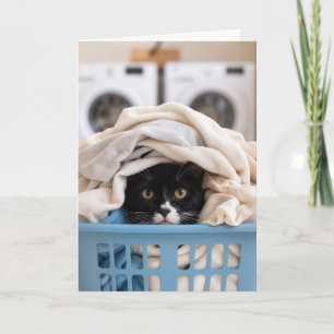 Födelsedags Tuxedo Katt Gömmer sig i Tvättkorgen Kort