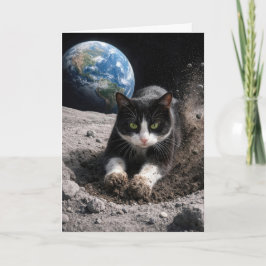 Födelsedags Tuxedo Katt Gräver en månkrater Kort