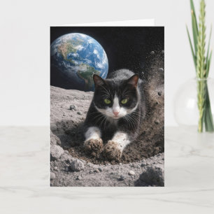 Födelsedags Tuxedo Katt Gräver en månkrater Kort