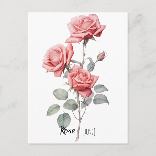 Födelsedagsblomma Ros (Juni) Vykort (Framsida)
