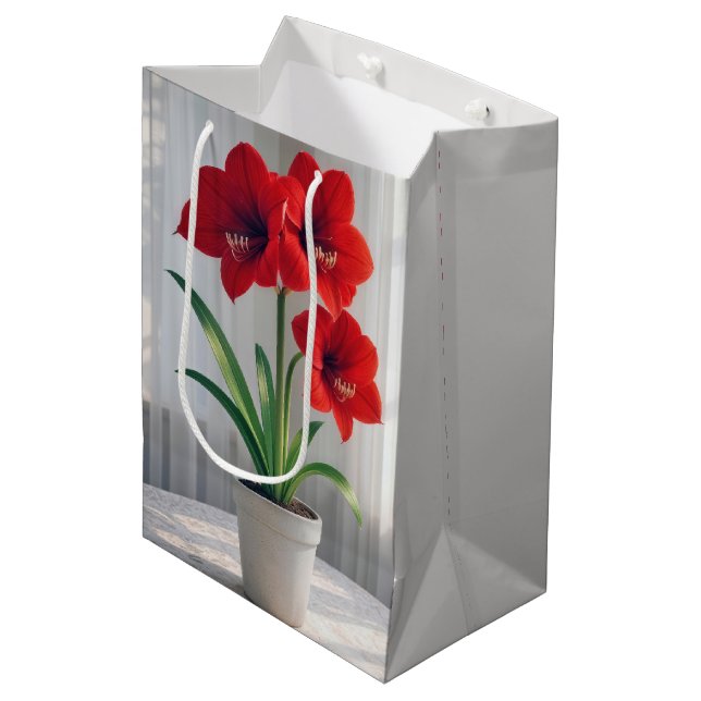 Födelsedagsblommande röd amaryllis (Framsidan Vinklad)