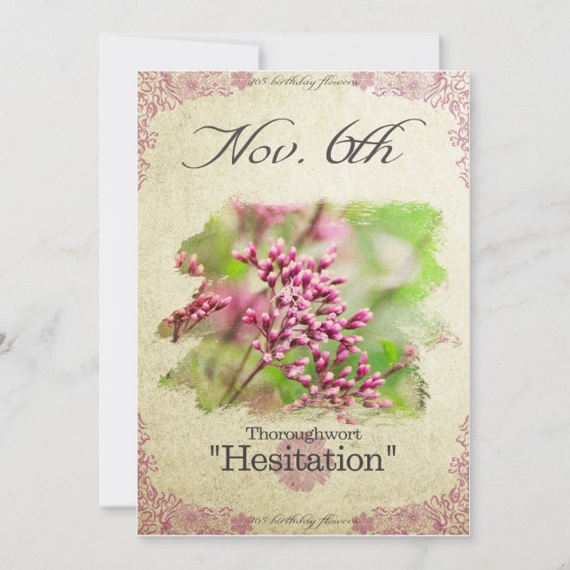 Födelsedagsblommor den 6 november "Thoroughwort" Kort (Framsida)