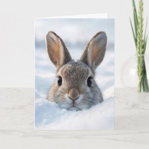 Födelsedagsbunny i en djup snödriva kort
