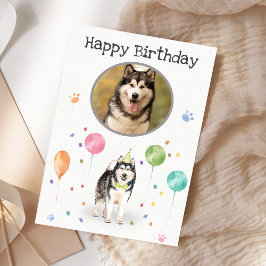 Födelsedagsfest Alaska Malamute Card Kort