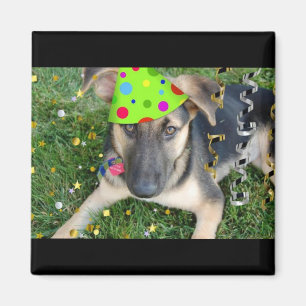 Födelsedagsfest Animal German Shepherd Magnet