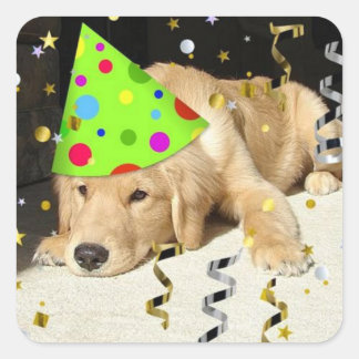 Födelsedagsfest Animal Golden Retriever Fyrkantigt Klistermärke