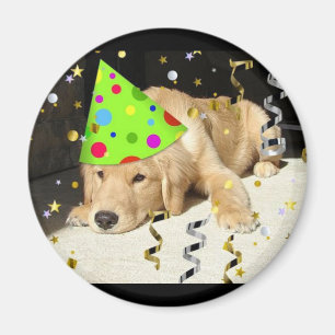 Födelsedagsfest Animal Golden Retriever Magnet