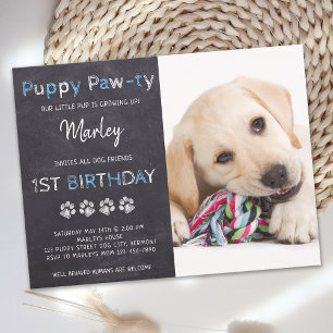 Födelsedagsfest av Chalkboard Puppy Pawty Blue-Hun Vykort