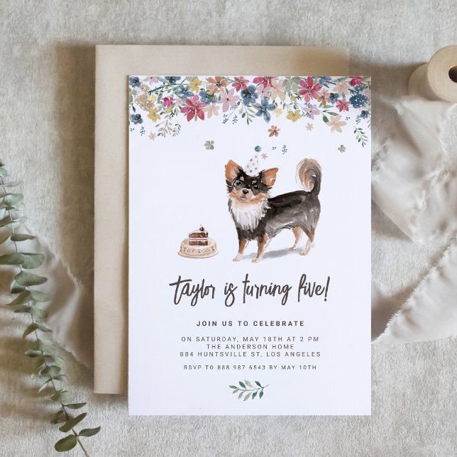Födelsedagsfest av vattentorg, långfärgad, Chihuah Inbjudningar (Celebrate your furry friend’s special day with our charming black Chihuahua birthday invitation.)