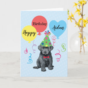 Födelsedagsfest Balloons Bouvier des Flandres Card Kort