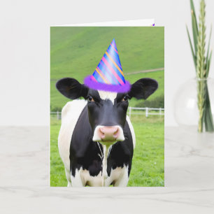 Födelsedagsfest Cow på betesmark Kort