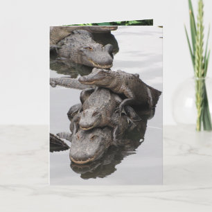 Födelsedagsfest för Gator Kort