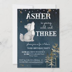 Födelsedagsfest för tema för låg varg inbjudningar