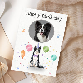 Födelsedagsfest Gräns Collie Hund Animal Card Kort
