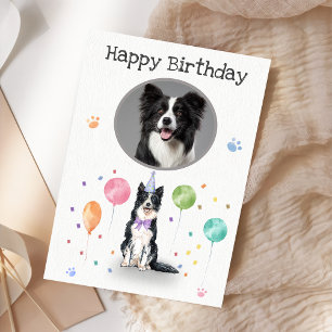 Födelsedagsfest Gräns Collie Hund Animal Card Kort