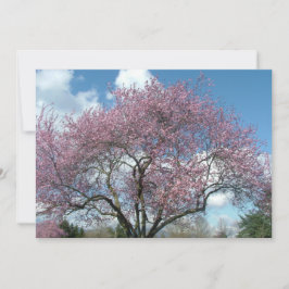 födelsedagsfest inbjudan