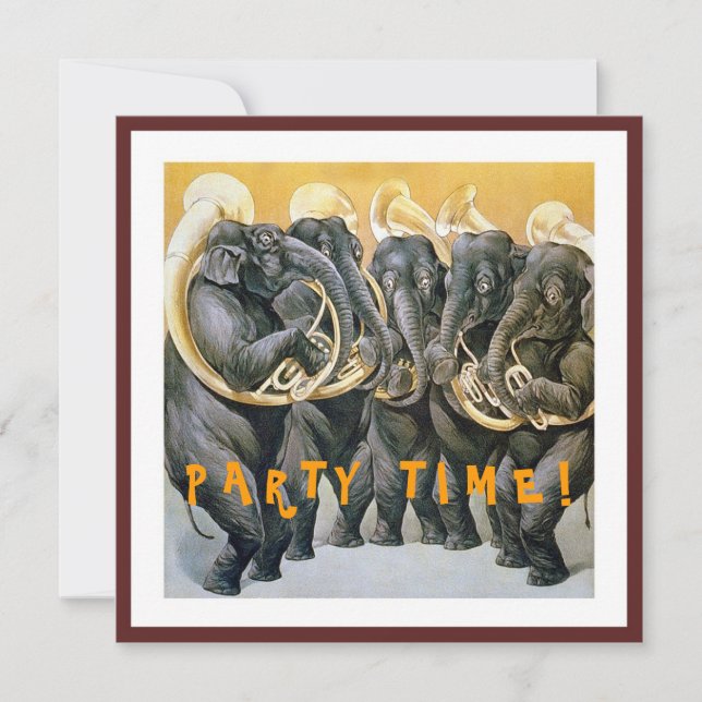 Födelsedagsfest Inbjudningar (Framsida)