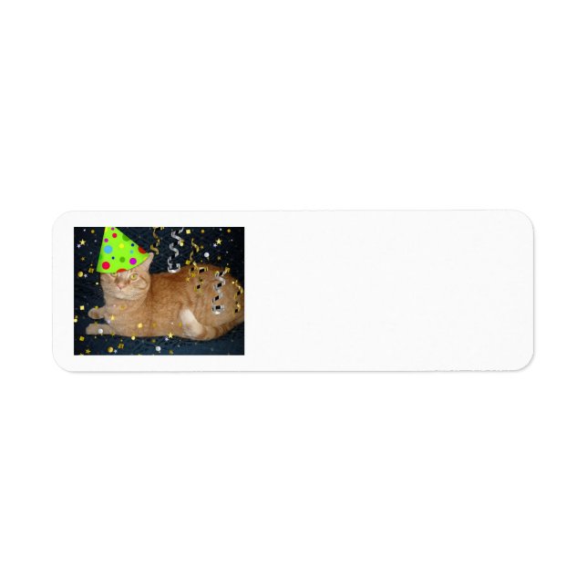 Födelsedagsfest Orange Tabby katt Returadress Etikett (Framsidan)
