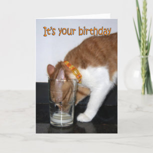 Födelsedagsgratulationskort med katt som dricker u kort