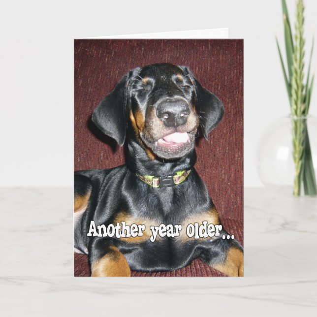 Födelsedagshumor - leende Doberman Pinscher-valp Kort (Framsida)