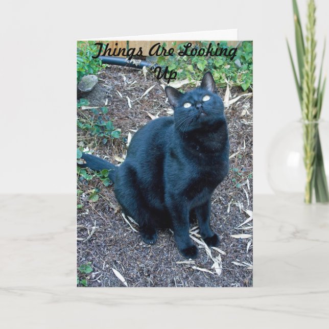 Födelsedagskort 3 kort (Framsida)