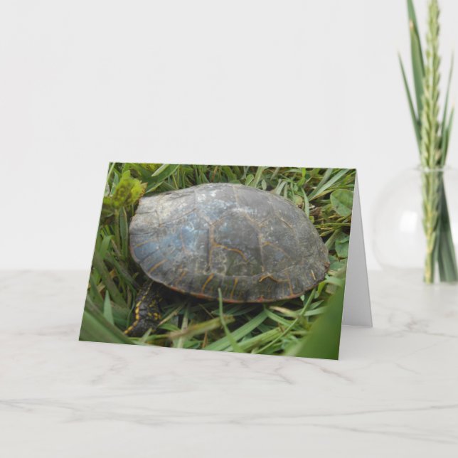 "Födelsedagskort ”Arboretum Painted Turtle”" Kort (Framsida)