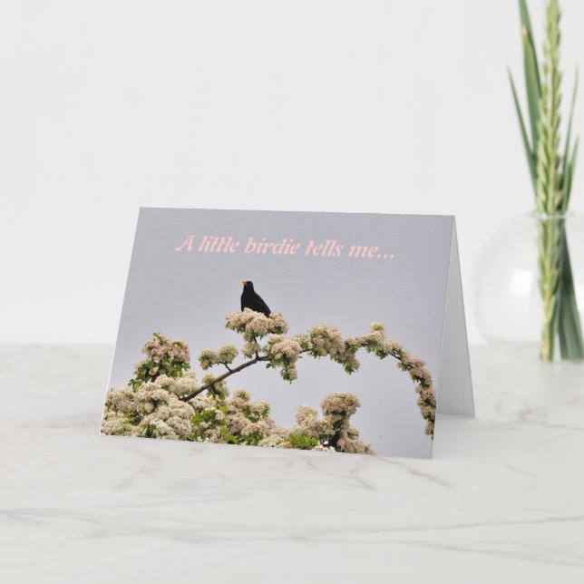Födelsedagskort: Blackbird Kort (Framsida)
