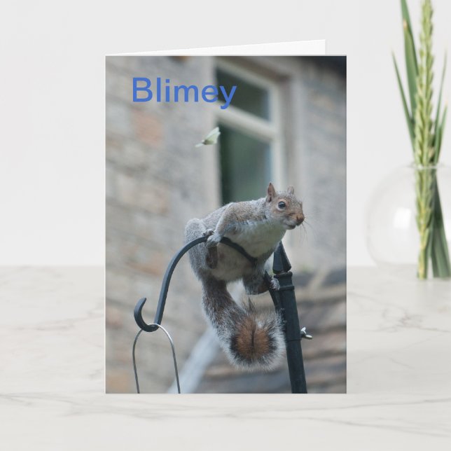 Födelsedagskort: ekorre och fjäril kort (Framsida)