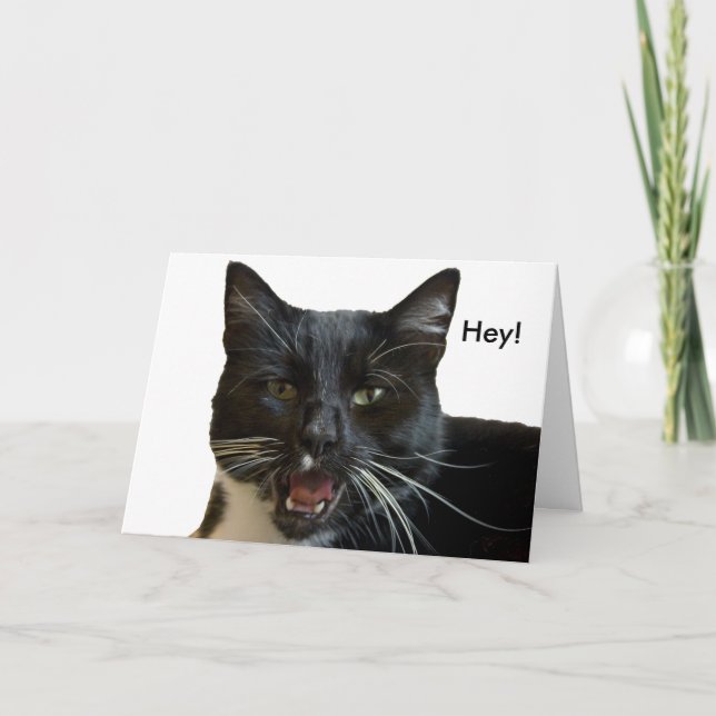 Födelsedagskort: eller annat katt kort (Framsida)