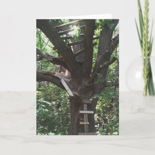 Födelsedagskort för Andy's Market Treehouse Kort