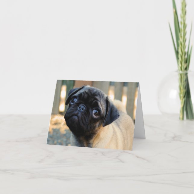 Födelsedagskort för Cute Pug Puppy Kort (Framsida)