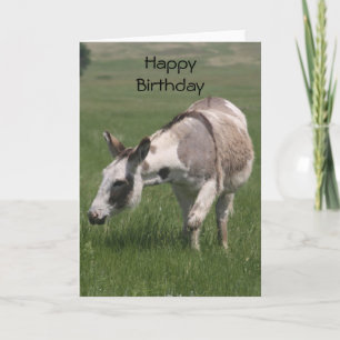 Födelsedagskort för donkey kort