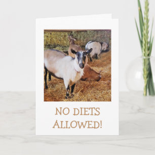 Födelsedagskort för get Wants Cake Kort