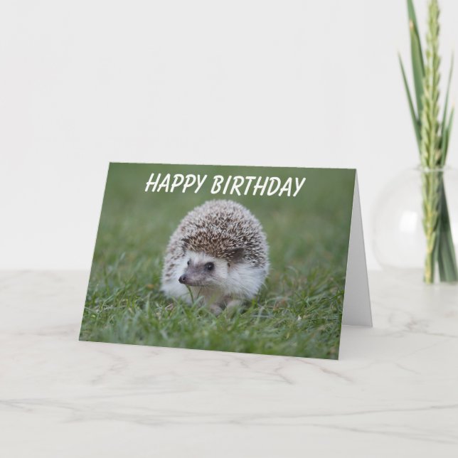 födelsedagskort för hedgehog kort (Framsida)