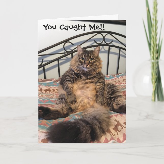 Födelsedagskort för Kimberleykattkort Kort (Framsida)