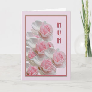 Födelsedagskort för Morsa med Rosa ros Kort