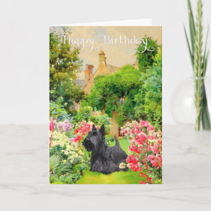 Födelsedagskort för Scottish Terrier Kort