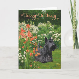 Födelsedagskort för Scottish Terrier Kort