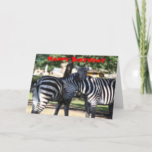 Födelsedagskort för Zebra Friends Kort