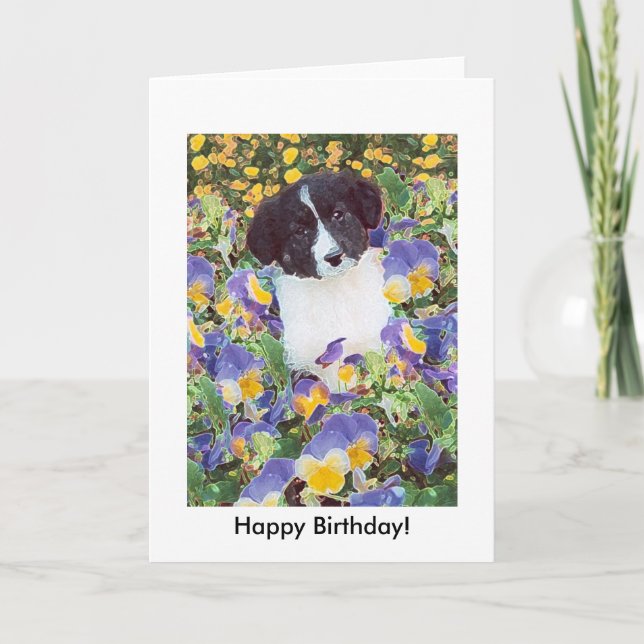 födelsedagskort - Gräns Collie Valp och Flowers Kort (Framsida)