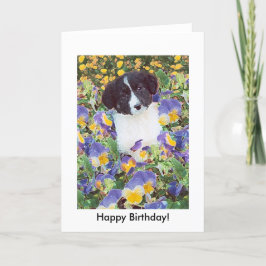 födelsedagskort - Gräns Collie Valp och Flowers Kort