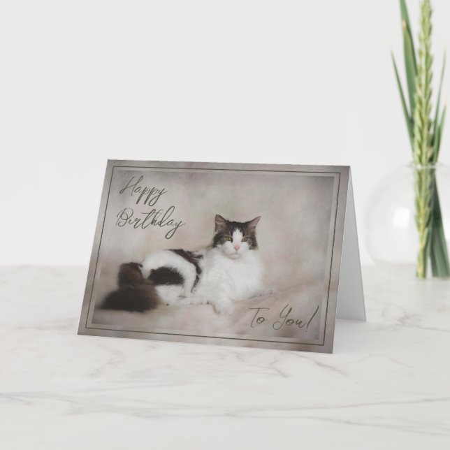Födelsedagskort "Grattis på födelsedagen Cat" Helgkort (Framsida)