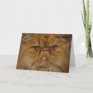 Födelsedagskort: Grumpiest Cat vid liv Kort