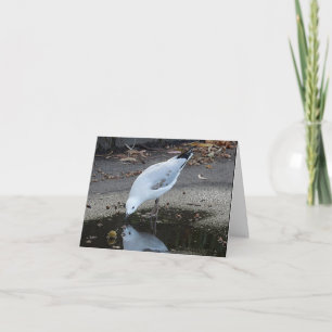 Födelsedagskort - Gull Reflection Kort