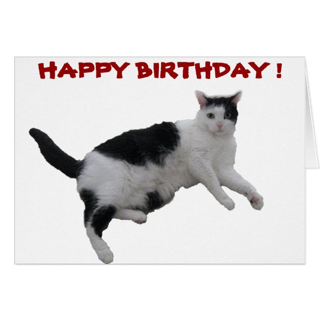 FÖDELSEDAGSKORT HÄLSNINGSKORT (Framsidan Horizontal)