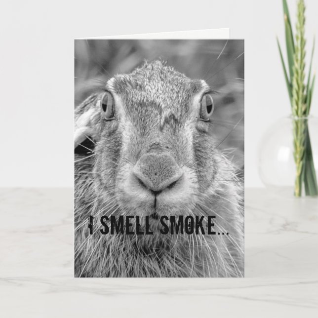 födelsedagskort humor bunny svart och vitt foto kort (Framsida)