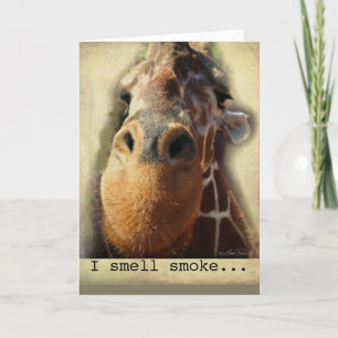 födelsedagskort humor giraffe näsa kort