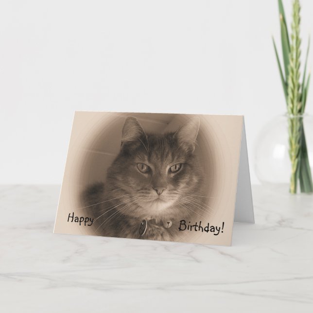 Födelsedagskort - Katt i Sepia Kort (Framsida)